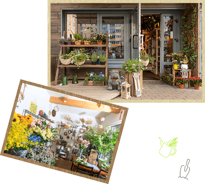 フラワーラボ　デイジーヒル