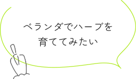 ベランダでハーブを育ててみたい