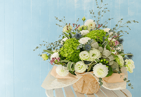 フラワーラボ　デイジーヒル