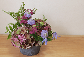 フラワーラボ　デイジーヒル