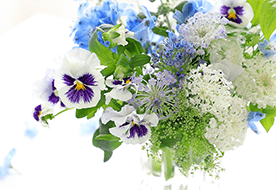 フラワーラボ　デイジーヒル