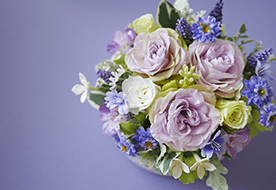 フラワーラボ　デイジーヒル