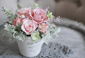 フラワーラボ　デイジーヒル