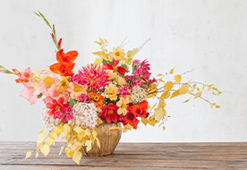 フラワーラボ　デイジーヒル