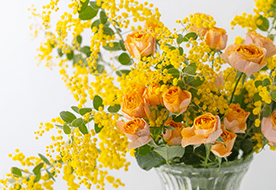 フラワーラボ　デイジーヒル