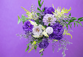 フラワーラボ　デイジーヒル