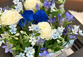 フラワーラボ　デイジーヒル